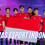 Timnas Esports Indonesia