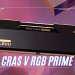CRAS V RGB PRIME